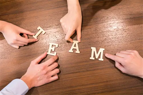 学校招生组能进吗