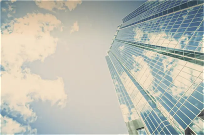 浦东绿晨小学招生条件